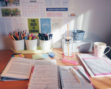 Study Guides for Academic Success